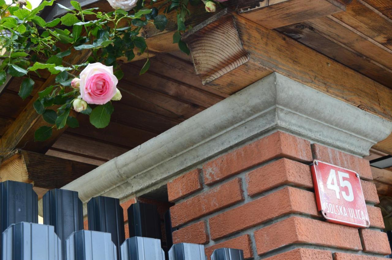 Apartment Kancler ノヴァ・ゴリツァ エクステリア 写真
